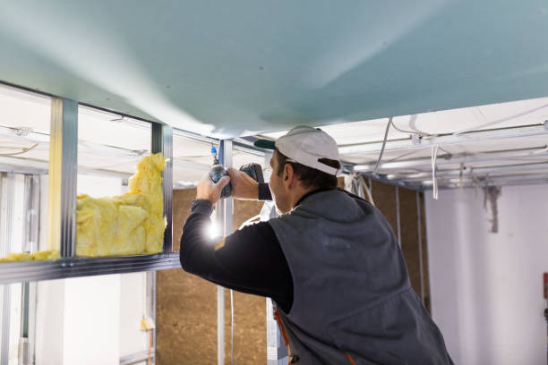 Best Insulation for Specific Applications in Louisburg, NC