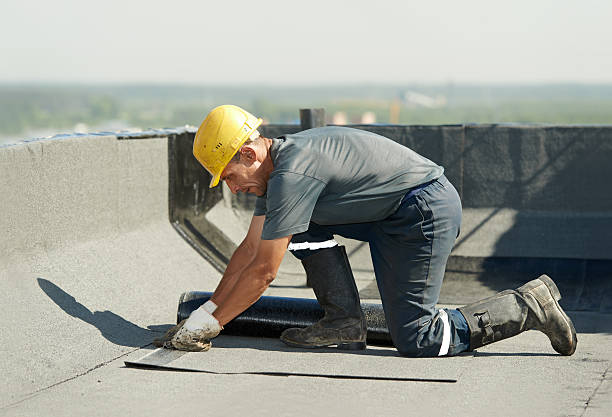 Best Insulation Materials and Products in Louisburg, NC