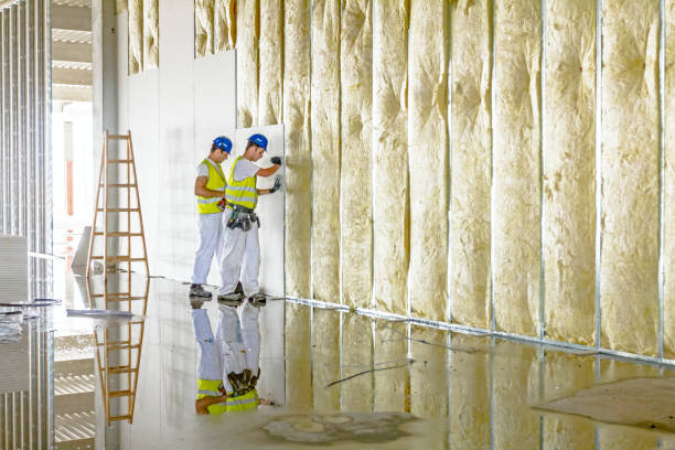 Best Residential Insulation in Louisburg, NC